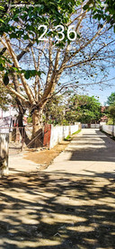 Colony_DWM2
