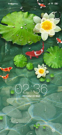 Fish opera lotus