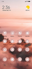 Dawn