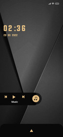 Business_Pro 2