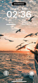 澎湃MAX