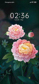 Peony+flowers