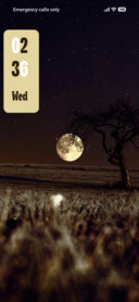 Moon Grove