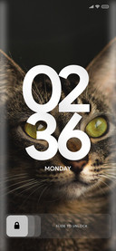Cute_Cat_Four