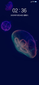 商务海洋水母