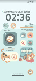 小橘猫的生活日记