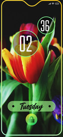 Tulip4