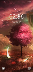Pink spring tree