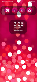 Festive Tz