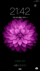 看~好美的花朵！