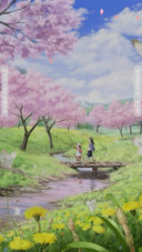樱花雨
