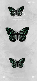 Black butterfly