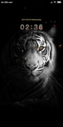 Tiger Theme
