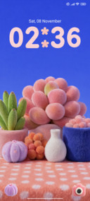 Fluffy Succulents