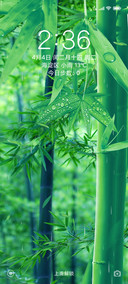 意境竹林