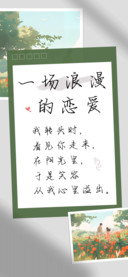 一场浪漫的恋爱
