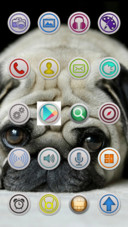 cute_ugly_pug