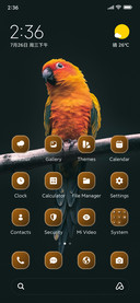 Golden Parrot