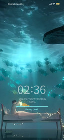 Dream whale drop