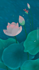 盛夏光年