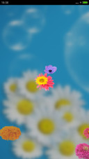 菊花（动态锁屏特效+动态桌面特效）