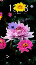 菊花（动态锁屏特效+动态桌面特效）