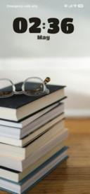 Bookworm Bliss