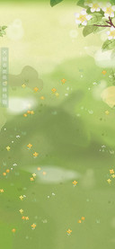 春风十里 兔子
