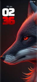 wild fox