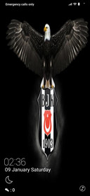 Kara Kartal