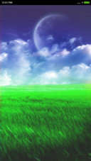 moon on grassland