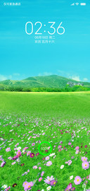 夏日清新野外