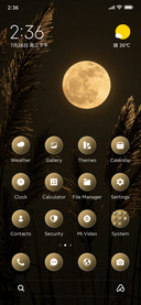 Moon Reed