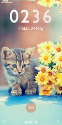 Cat_DWM19