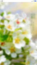 生如夏花（4d动态）