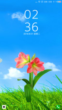 一朵花