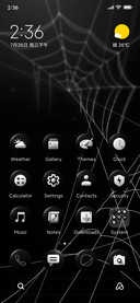Black V
