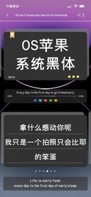 OS苹果系统黑体