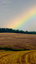 Rainbow Fields