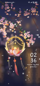 Lanterns+flowers