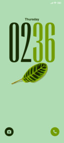 Minimal Leaf