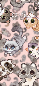 天降猫咪