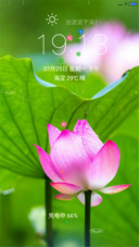 荷（自定义4d动态锁屏+桌面动态）