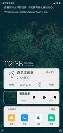 极致