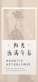 阳光洒满午后