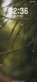 Fogg Leaf
