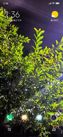 Night Sky_DWM2