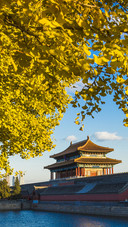 故宫美景