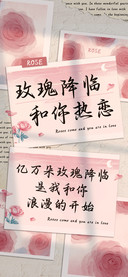 玫瑰降临和你热恋