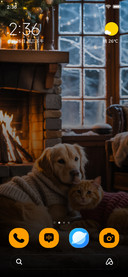 Fireside Friends